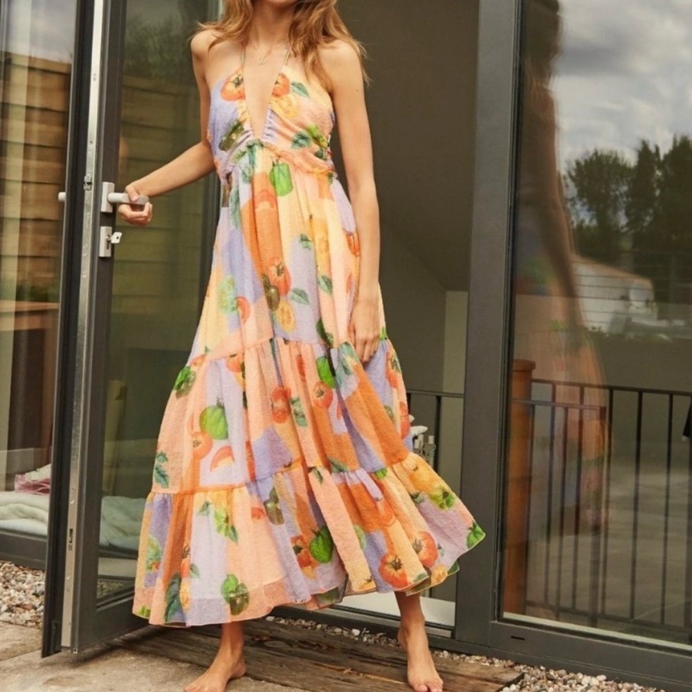 Aritzia Le Fou Wilfres Hater Swing Fruit Printed Maxi Dress